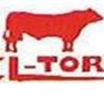 El-Toro Electric Brands